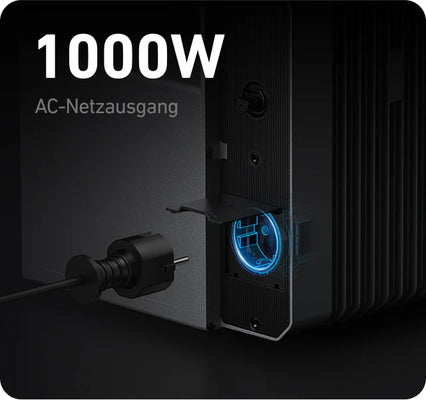 1000W AC-Netzausgang